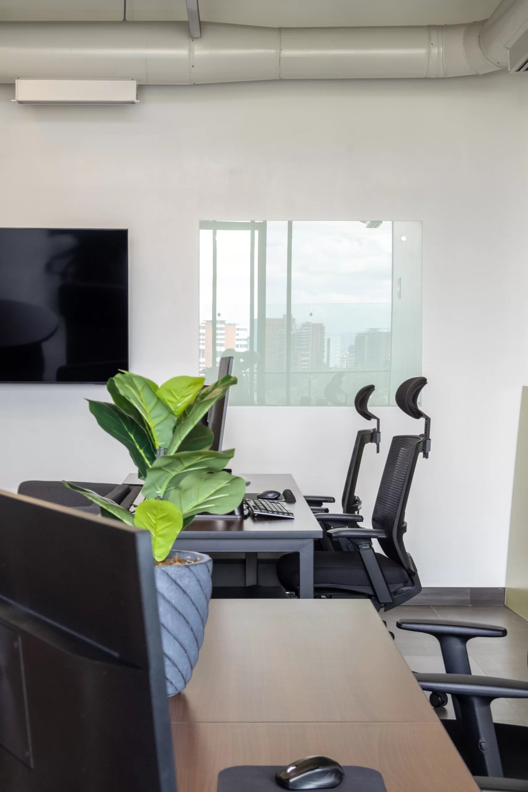 Co-Working Oficinas Perennia Group